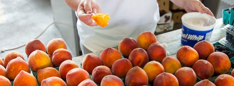 National Peach Melba Day