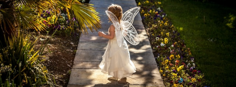 National Tooth Fairy Day
