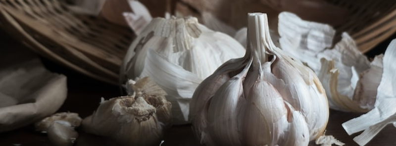 National Garlic Day