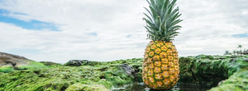 National Pineapple Upside Down Day
