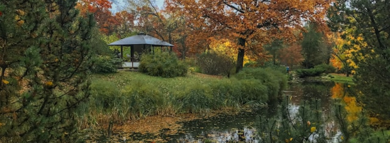 National Arbor Day