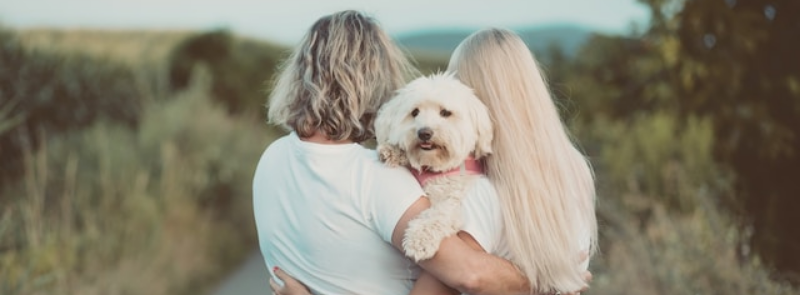 National Pet Parents Day