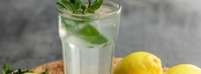National Lemonade Day