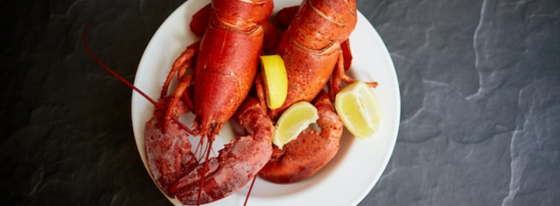 National Lobster Day