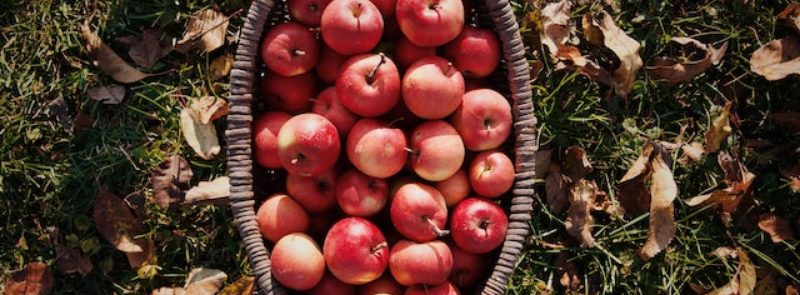 National Johnny Appleseed Day
