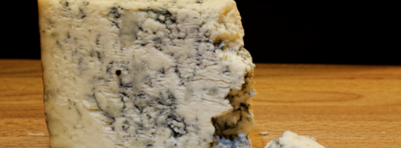 National Moldy Cheese Day