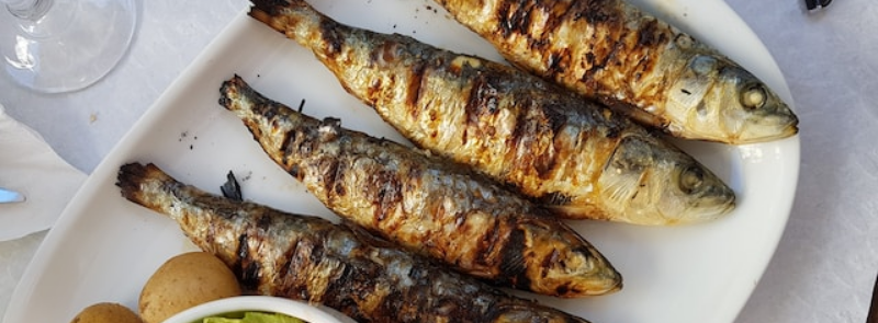 National Sardines Day