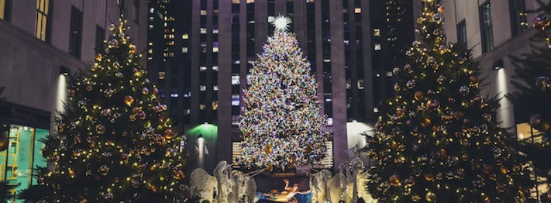 Falling Needles Family Fest Day