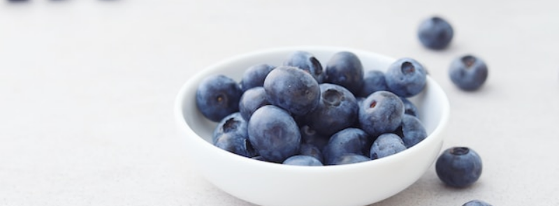 Blueberry Month