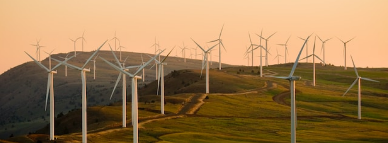 International Day of Clean Energy