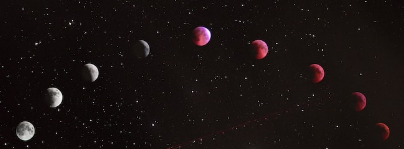 International Astrology Day