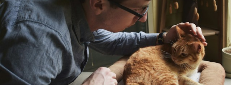World Veterinary Day