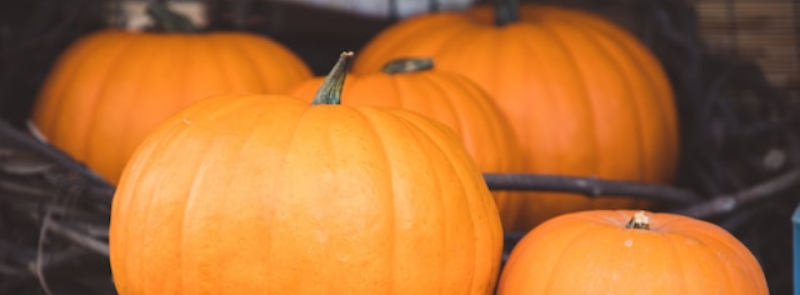 National Pumpkin Day