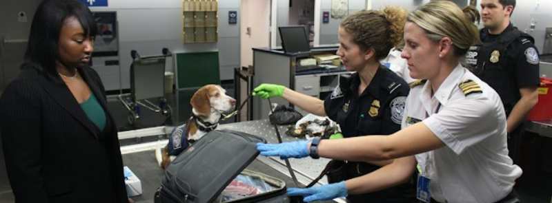 International Customs Day