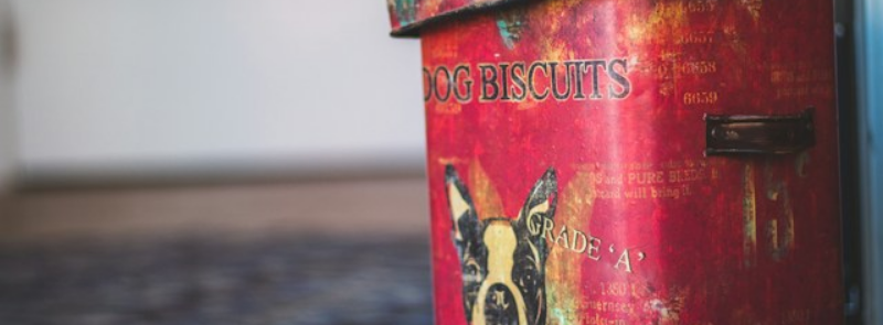 International Dog Biscuit Appreciation Day