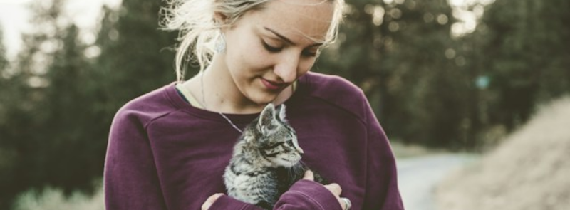 International Hug Your Cat Day