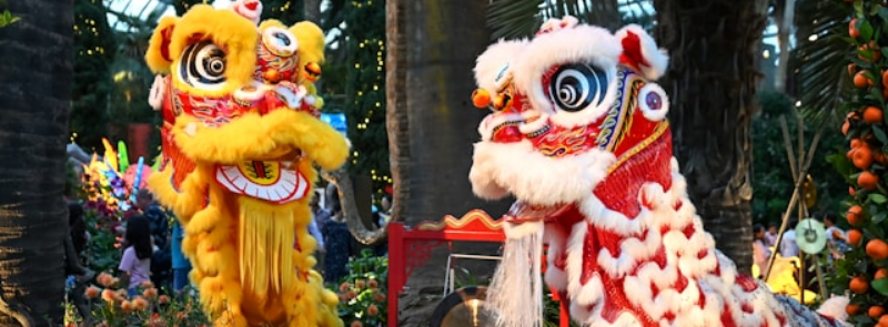 Lunar New Year