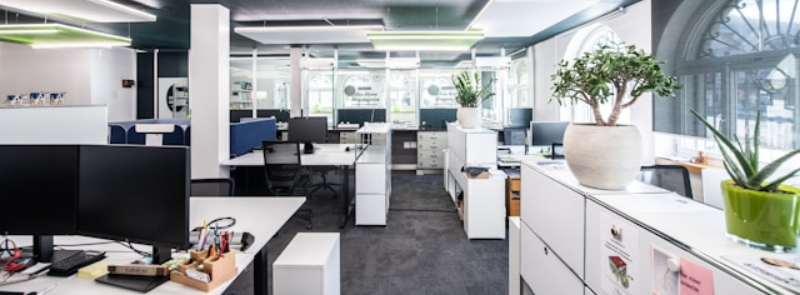 Business Clean Up Day