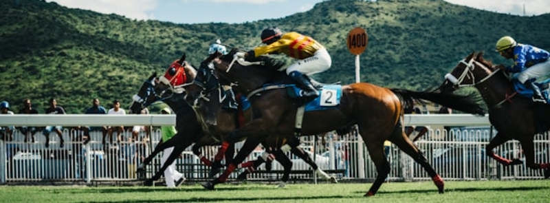 Devonport Cup TAS
