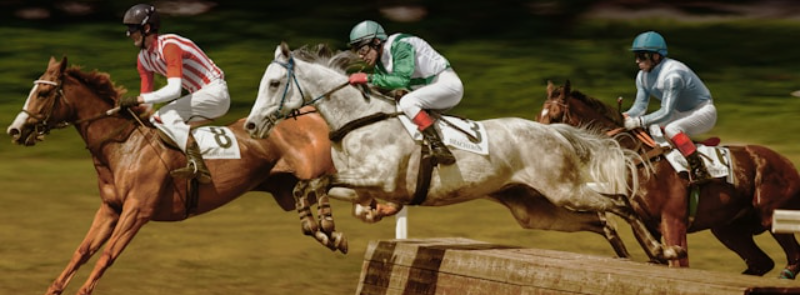 Launceston Cup TAS