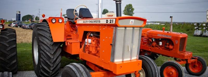 AGFEST TAS