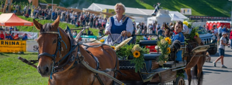Flinders Island Show TAS