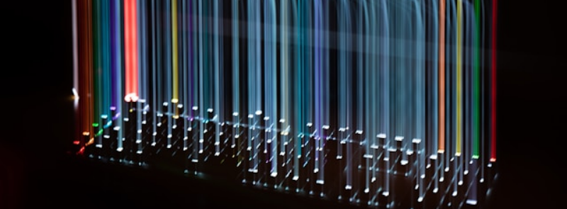Data Privacy Day
