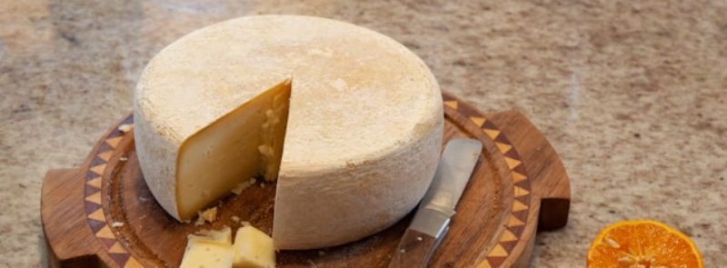 Cheese Lover Day