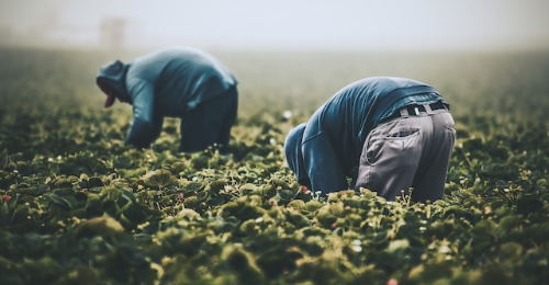 International Workers Day