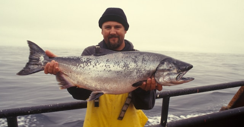 World Tuna Day