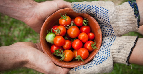 World Food Safety Day