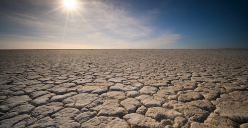 World Day to Combat Desertification and Drought