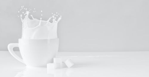 World Milk Day