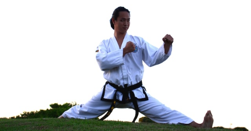 International Taekwondo Day