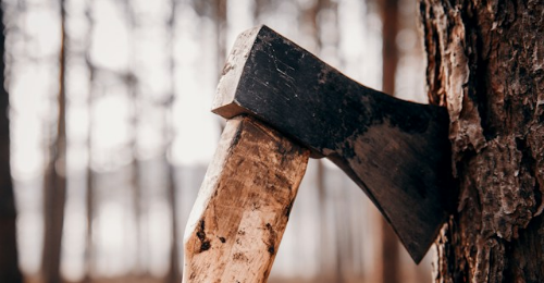 International Axe Throwing Day