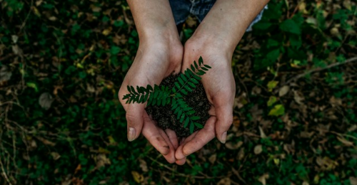 International ESG Day