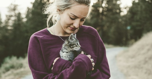 International Hug Your Cat Day