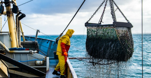 International Fisherman Day